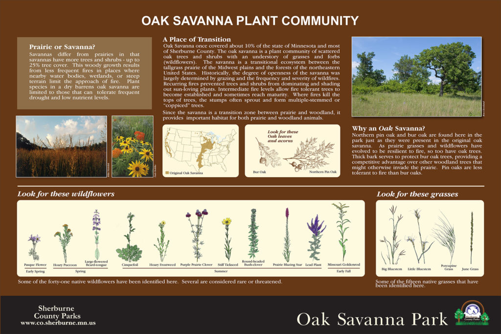 Custom Interpretive Signs – Nature Walk Signs