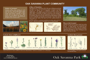 Custom oak savanna habitat interpretive panel layout