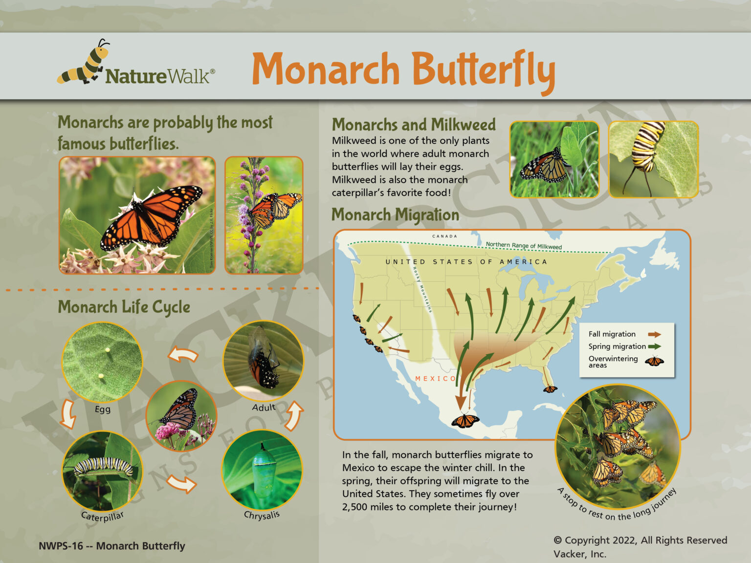 NatureWalk Interpretive Signs – Nature Walk Signs