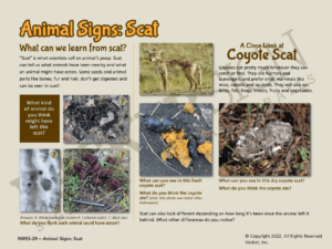 29.NWSS-Animal Signs Scat