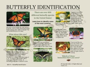 G21.11 Butterfly ID Interpretive Sign