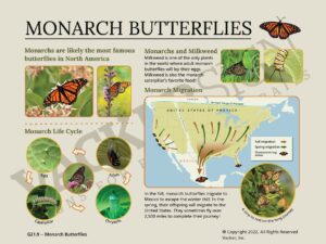 G21.9-Monarch Butterflies Interpretive Sign